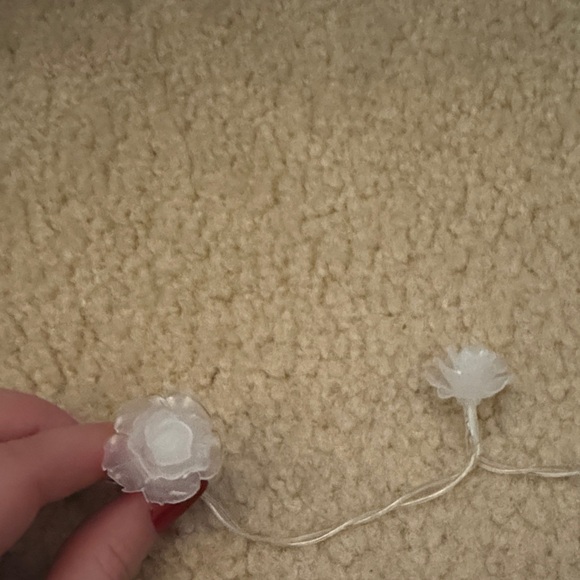 Rose String Lights - Picture 3 of 4